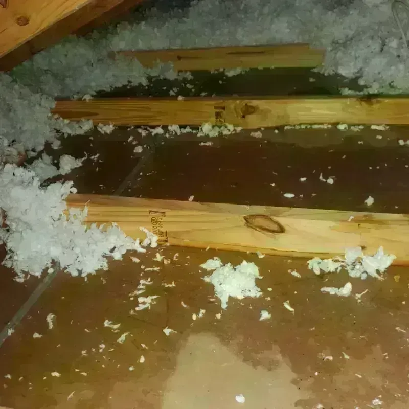 Attic Water Damage in Sunland, CA